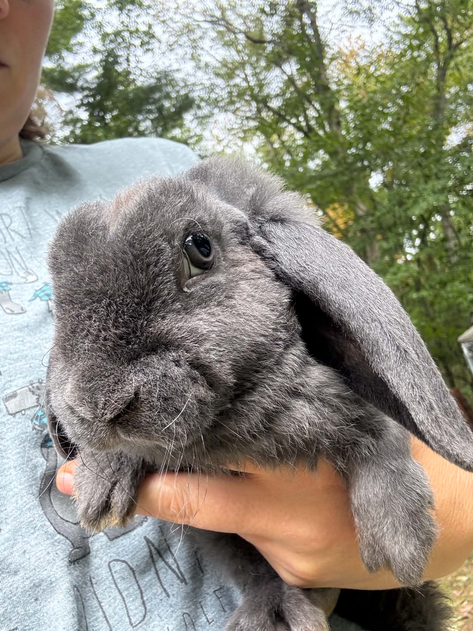 Arnold, Blue Self