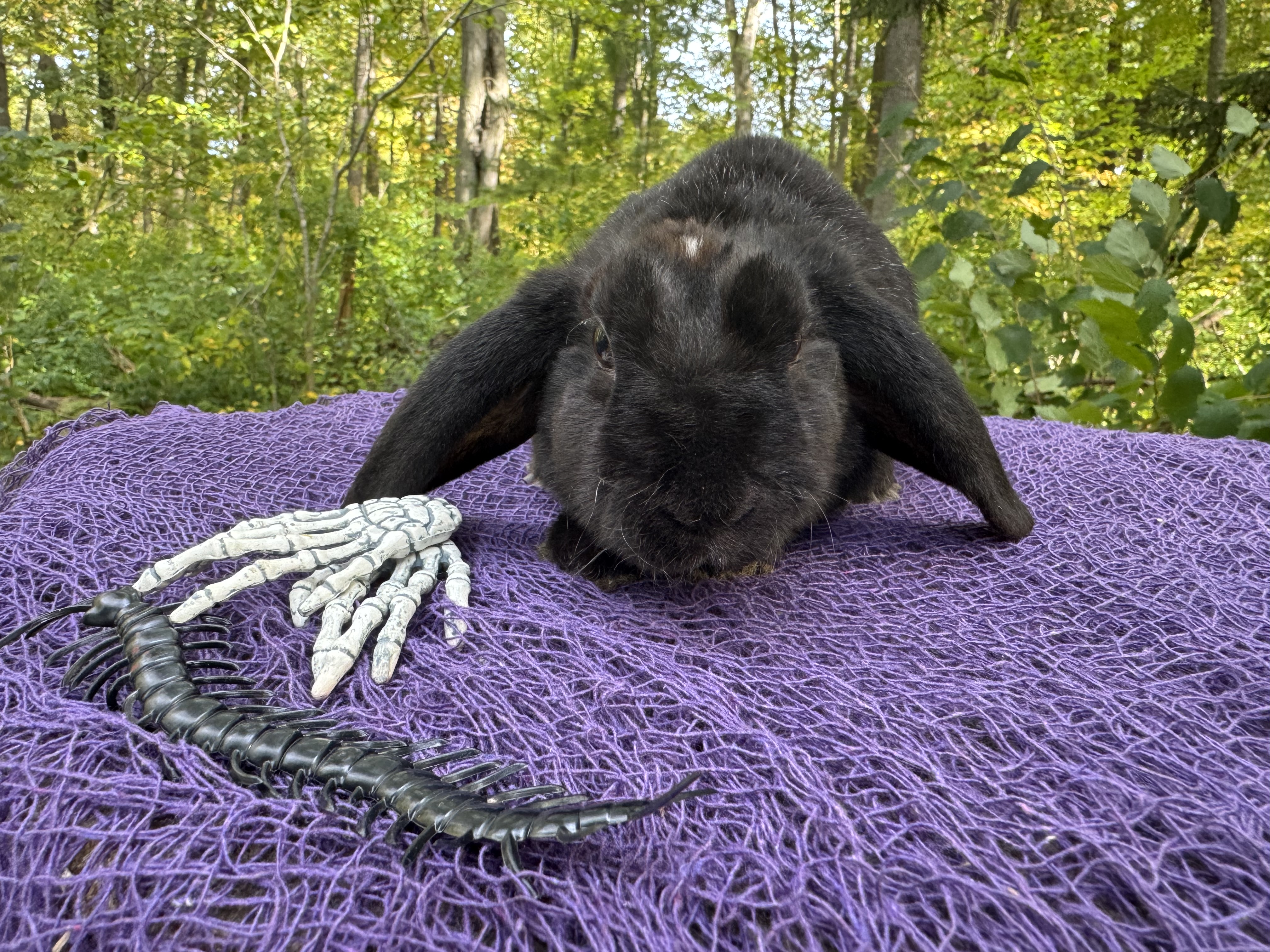 Potsie, Black Self